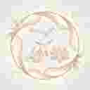 مرکز زیبایی مریم محمدی مرکز زیبایی مریم محمدی